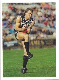 1991 Select AFL Stickers #20 Scott Hodges Front